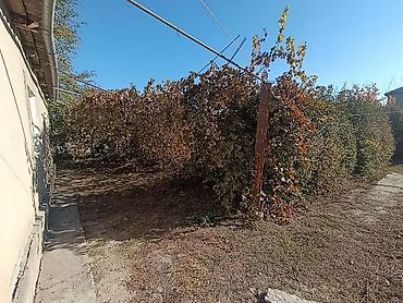 вагон баткен: 🏡 ПРОДАЁТСЯ ДОМ В С. КЫЗЫЛ-ТУУ! 📍 Чуйская область, Сокулукский район — 4