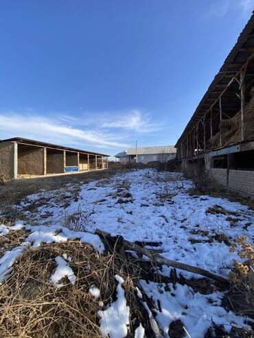 Продажа участков: 20 соток, Для бизнеса, Красная книга, Договор купли-продажи — 12