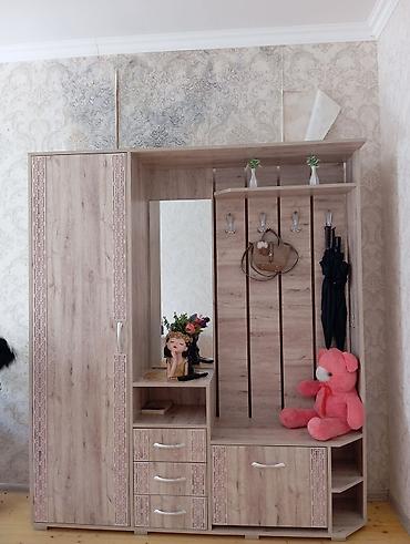 asılqan satılır: İşlənmiş, 1 qapı, Güzgülü, Açılan, Düz dolab — 3