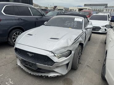 Soyutma və qızdırma sistemləri: Ford Mustang, 2019 il, ABŞ, Ünvandan götürmə, Pulsuz çatdırılma, Ödənişli çatdırılma