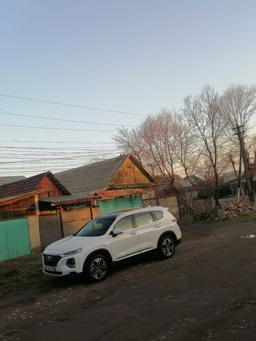 Hyundai: Hyundai Santa Fe: 2019 г., Кроссовер — 3