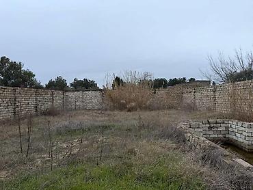 6 sot, Tikinti, Kupça (Çıxarış)
