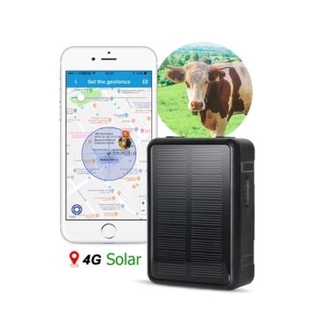 Животные: GPS трекер для коров, лошадей, овец и коз. Модель: V34-ZC. Лучший