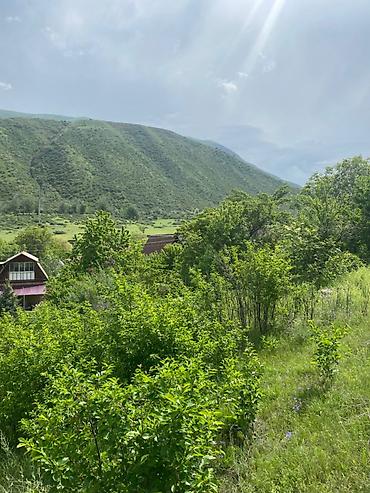 квартиры с панорамными окнами: Продаются 2 дачи на четырех участках. Объединены общим забором. Каждый — 4