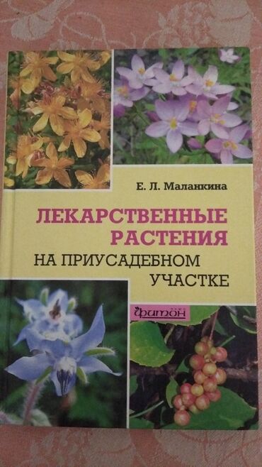 Bədii ədəbiyyat: Təzə maraqlı hədiyyəli
Bərk qabıgda
Hərəsi 9 man
Çatdırma var — 6