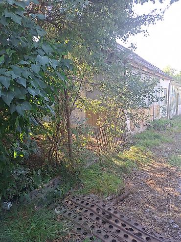 corat torpaq: 3 otaqlı, 45 kv. m, Təmirsiz — 4