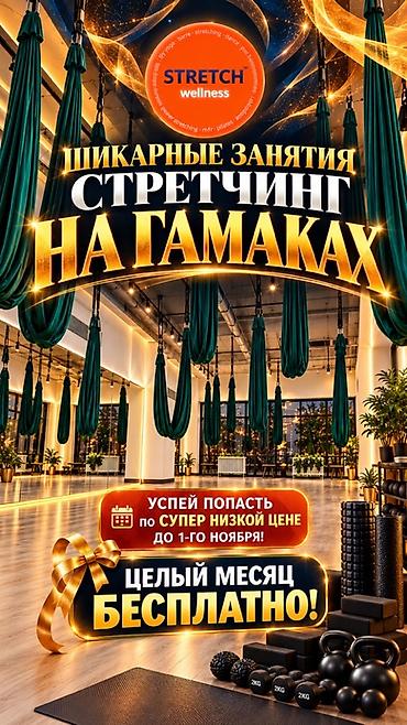боль в спине: Студия Stretch Wellness — профессиональные тренировки по стретчингу и — 10