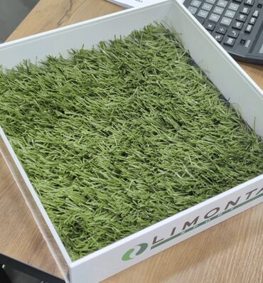 искусственный газон: Искусственный газон Limonta Италия 40 мм Мини поле по доступной цене