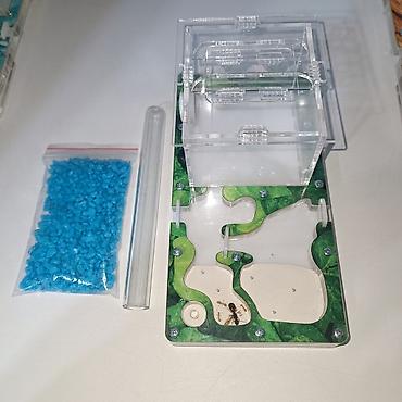 Другие животные: ‼️Колонии Муравьев с Формикариями разныные колоний большой выбор — 9