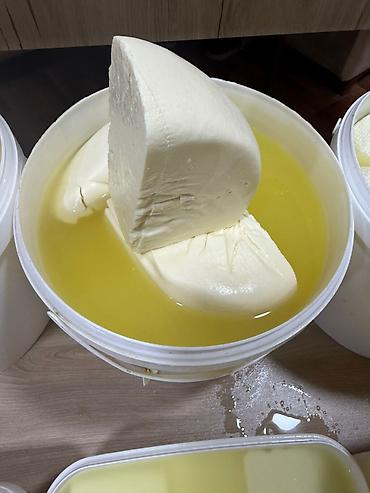 mozarella pendir: Salam pendir cesidleri kartof free restoranlara topdancilara serf — 7