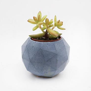 ev bitkisi: Beton sukulent qabı – çoxbucaqlı dizayn - Material: yüksək möhkəmliyə — 1