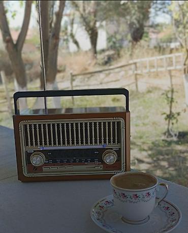 Səs gücləndiriciləri: Nostalji görünüşlü kalonka Fm radio Bluetooth USB flashkart SD kart — 9