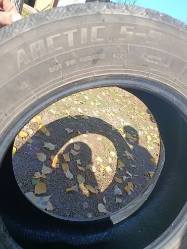 шины на форестер: Шины 235 / 60 / R 18, Зима, Внедорожные (АТ/МТ)