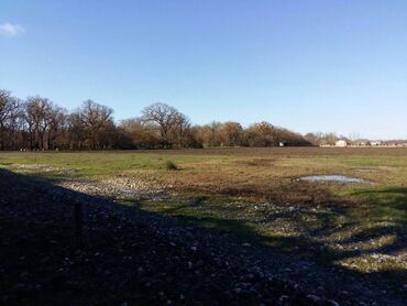 Torpaq sahələrinin satışı: 200 sot, Biznes üçün, Maklerlər narahat etməsin, Kupça (Çıxarış) -da lalafo.az — 7 Torpaq sahələrinin satışı: 200 sot, Biznes üçün, Maklerlər narahat etməsin, Kupça (Çıxarış) — 7