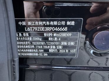 Zeekr: Zeekr 009: | 2024 г. Лимузин — 18