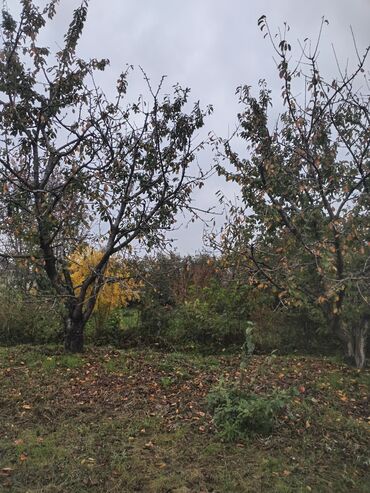 Kirayə torpaq sahələri: Kənd təsərrüfatı, Su — 6