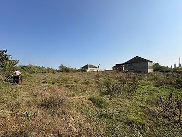 binə atçılıq torpaq: 23 sot, Kənd təsərrüfatı, Mülkiyyətçi, Kupça (Çıxarış) — 2