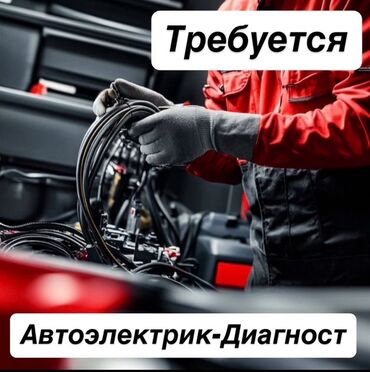 помошник автоэлектрика: Требуется автоэлектрик-диагност. Описание вакансии: - Поиск и