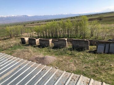 дома село гроздь: Для сельского хозяйства, Красная книга, Тех паспорт, Договор купли-продажи