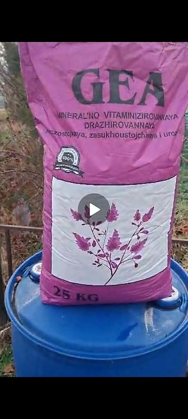 Кормовые растения: Семена кормовых растений: Люцерна, Самовывоз, Бесплатная доставка, Платная доставка — 5