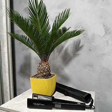 Другое: Brazilian Keratin,Bb one, Taninoplastia, Honma, Botox Состав — 10