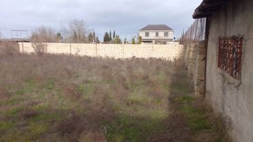 Torpaq sahələrinin satışı: 6 sot, Tikinti, Makler, Kupça (Çıxarış), Texniki pasport — 4