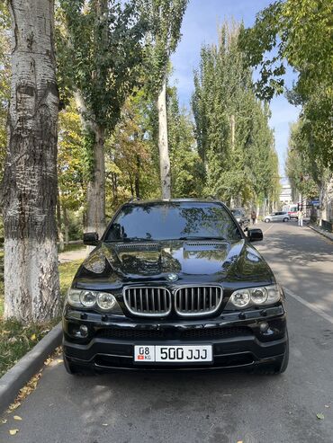 BMW: BMW X5: 2004 г., 3 л, Автомат, Бензин, Кроссовер