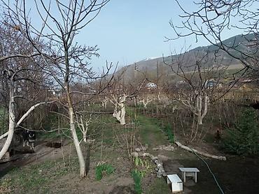 Продажа домов: Дом, 150 м², 6 комнат, Собственник, Косметический ремонт at lalafo.kg — 6 Продажа домов: Дом, 150 м², 6 комнат, Собственник, Косметический ремонт — 6