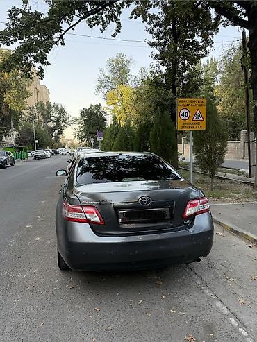 maxus машина: Toyota Camry: 2010 г., 2.5 л, Автомат, Бензин, Седан — 5
