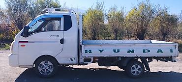 купить мини манипулятор: Hyundai Porter II — компактный бортовой грузовик - Тип: малотоннажный — 3