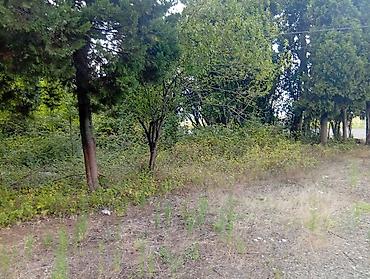 lerikdə ev: 67 sot, Tikinti, Mülkiyyətçi, Kupça (Çıxarış) — 2