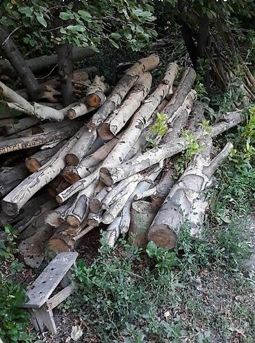 дрова самовывоз: Дрова — 3