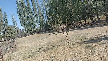 кара ой участок: 🏡 ЖЕР УЧАСТОГУ САТЫЛАТ! 📍 Жалал-Абад, Кара-Чолок айылы 📐 5 сотых 📕 — 3