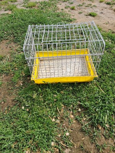 Yuvalar: Qefesderin her biri satilir — 7