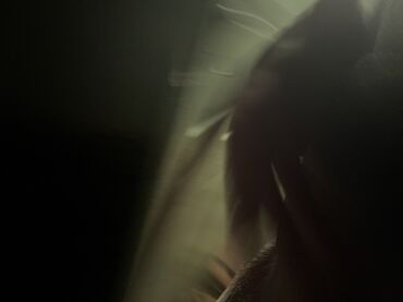 Volkswagen: Volkswagen Golf: 1994 г., 1.6 л, Механика, Бензин, Хэтчбэк — 14