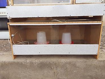 Товары и оборудование для с/х животных: Брудер для цыплят/молодняка птицы - Закрытая теплая коробка с — 10