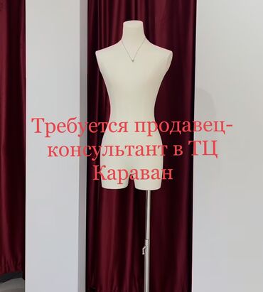 продавец рынок: Сатуучу консультант. Караван СБ