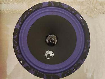 maşın dinamikleri: DL Audio PIRANHA 165 V.2 – avtomobil üçün midbass/midrange akustika — 1