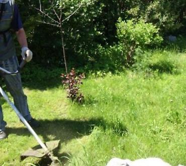 Другие товары для дома и сада: Услуги Садовника Стрижка живой изгороди Уборка дикой травы Покос at lalafo.kg — 15 Другие товары для дома и сада: Услуги Садовника Стрижка живой изгороди Уборка дикой травы Покос — 15