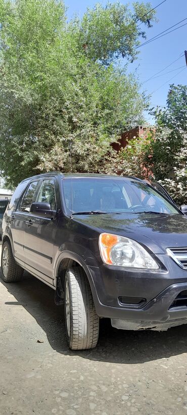 gps трекер для животных бишкек: Honda CR-V: 2002 г., 2.4 л, Автомат, Бензин, Жол тандабас