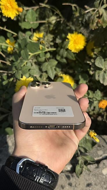 копия реплика: IPhone 16 Pro Max, Б/у, 256 ГБ, Золотой, Зарядное устройство, Защитное стекло, Чехол, В рассрочку, 88 % — 5