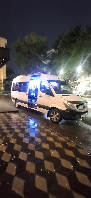 холодильник двух: Спринтер на заказ Микроавтобус Mercedes-Benz Sprinter — 6