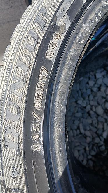 245: Шины 245 / 45 / R 17, Зимняя шипованная, Б/у, Пара, Легковые, DUNLOP — 1