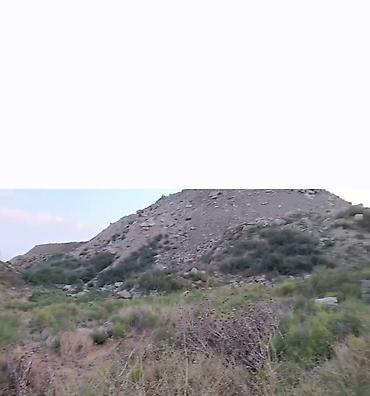 Torpaq: 4 sot, Tikinti, Mülkiyyətçi, Bələdiyyə — 3