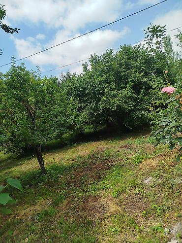 serifzadede satilan evler: 12 sot, Tikinti, Mülkiyyətçi, Kupça (Çıxarış) — 6