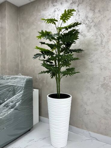 Декоративные цветы: Искусственные деревья и цветы — долговечный и стильный декор без at lalafo.kg — 21 Декоративные цветы: Искусственные деревья и цветы — долговечный и стильный декор без — 21