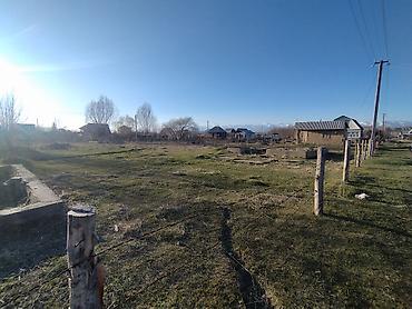 Продажа участков: 5 соток, Красная книга — 3