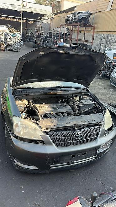 Другие детали кузова: Разбор Toyota Corolla (E120/E130, дорестайлинг/рестайлинг — 2