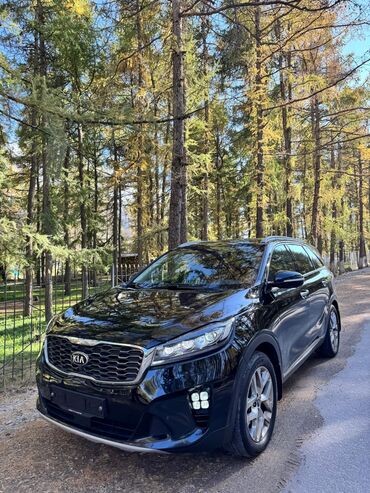 Kia: Kia Sorento: 2019 г., 2.2 л, Автомат, Дизель, Кроссовер