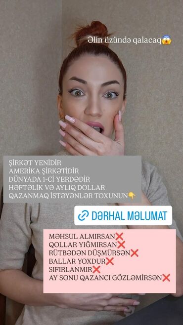 Сфера образования: Network biznesi